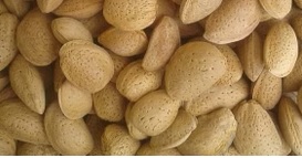 قیمت فروش ویژه بادام سنگی درشت + ارسال فوری